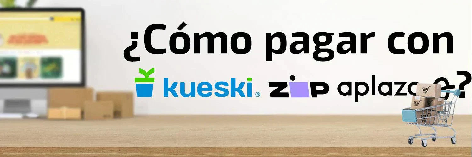 ¿Cómo pagar con Kueski, Zip y Aplazo? - FixOEM:Refaccion Celular