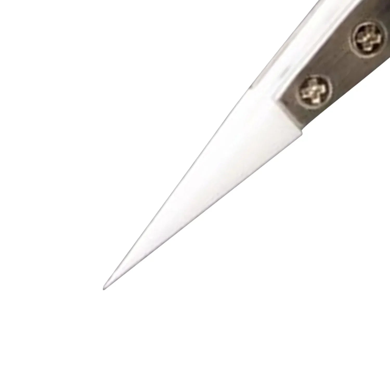 Pinzetas Ceramica Wylie Wl-14H |+5,000 reseñas 4.9/5 | recibe express 2 días